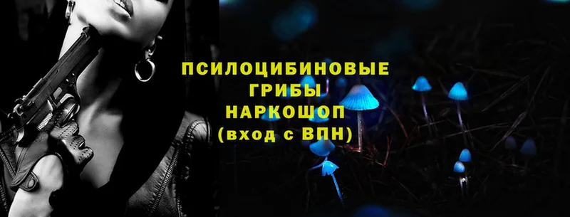 Псилоцибиновые грибы прущие грибы  где продают наркотики  Ульяновск 